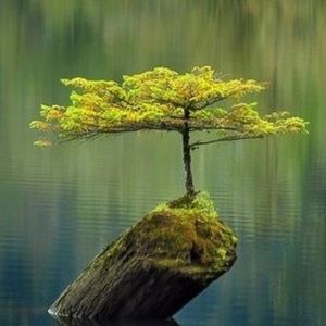 Meet your Posher, Lorena